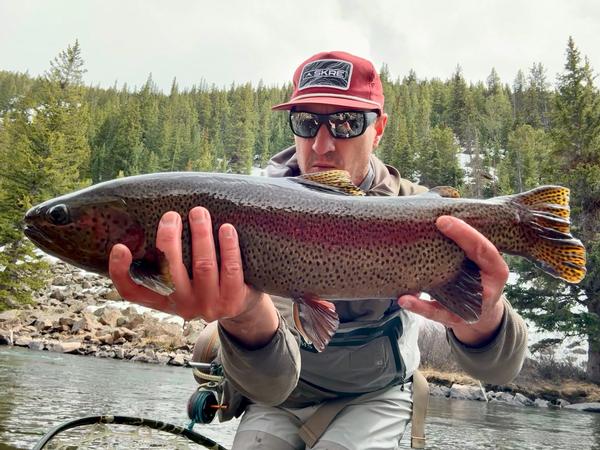 Fly Fishing Taylor River - A River for everyone