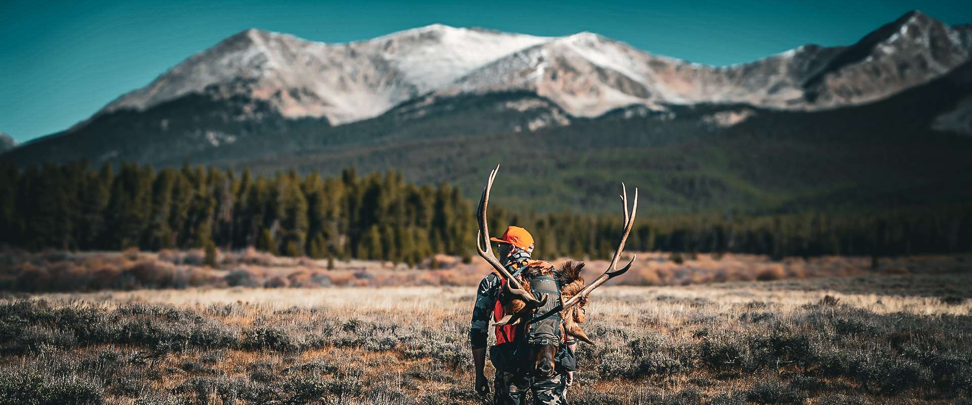 Colorado Rifle Elk Hunting