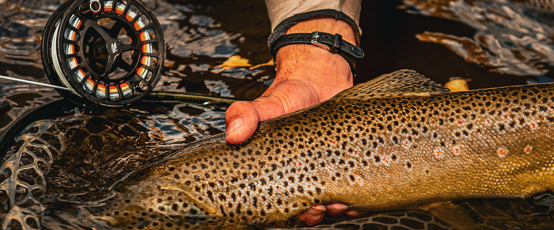 Gunnison Fly Fishing