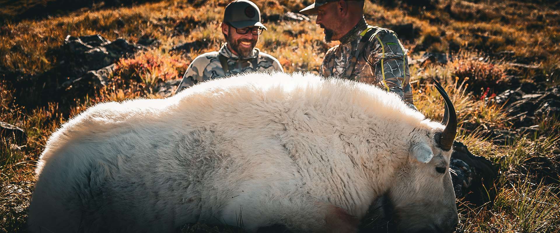 AEI Outfitter - Testimonials