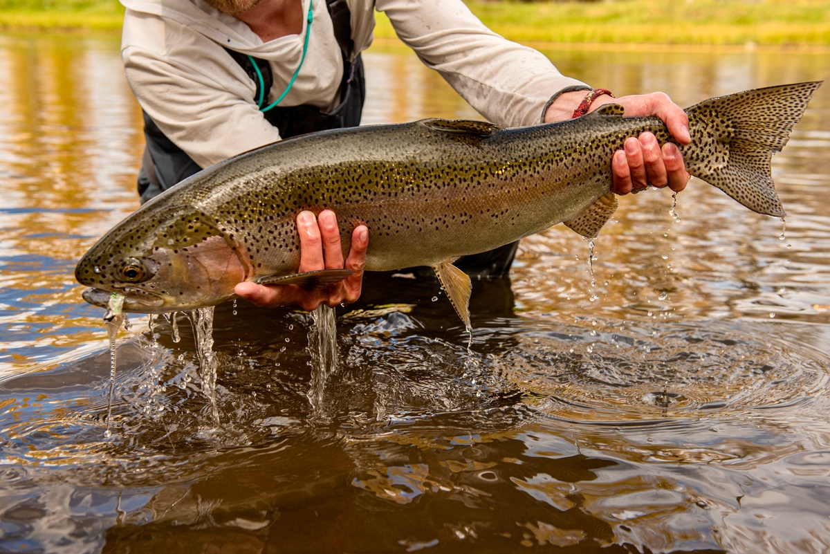 Gunnison Fly Fishing