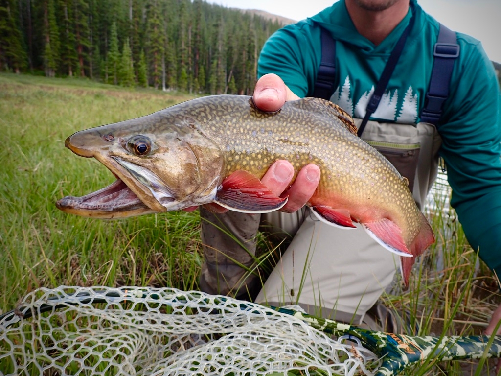 AEI Fly Fishing Details