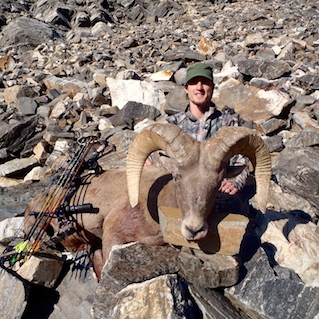 Colorado Ram Hunting