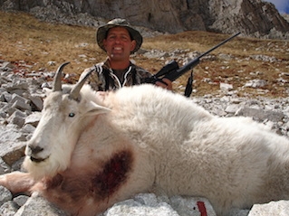Rocky Mountain Goat Hunts