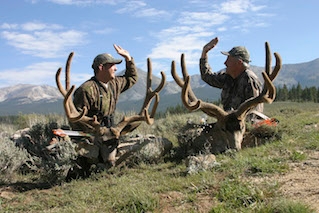 Mule Deer Hunts in Colorado