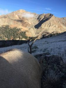 The view simply does not get any better when hunting elk