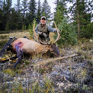 Travis connected on his first bull on his first elk hunt!