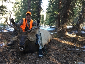 Steve's first bull elk