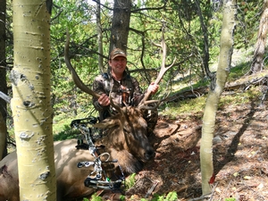 Steve from PA, arrowed this great 5x5 Colorado bull elk in archery season!